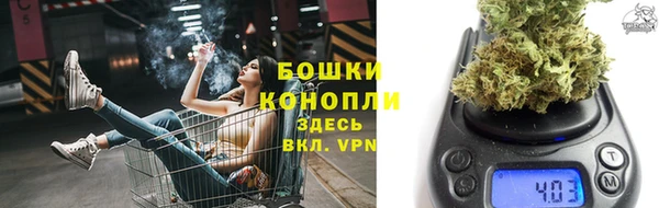 бутират Лагань