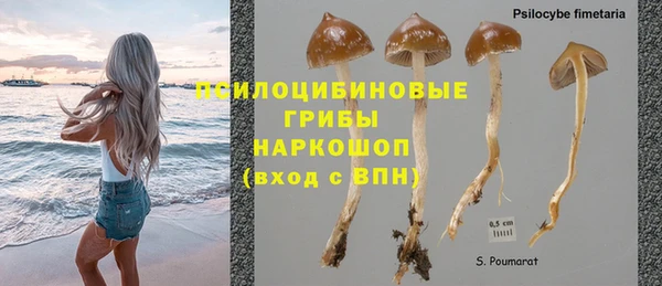 трава Краснотурьинск