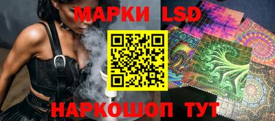 дмт Гусев