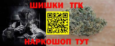 дмт Гусев