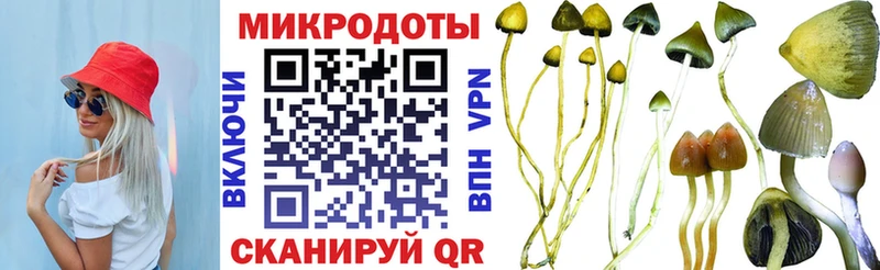 kraken ТОР  купить закладку  Михайловка  Галлюциногенные грибы MAGIC MUSHROOMS 