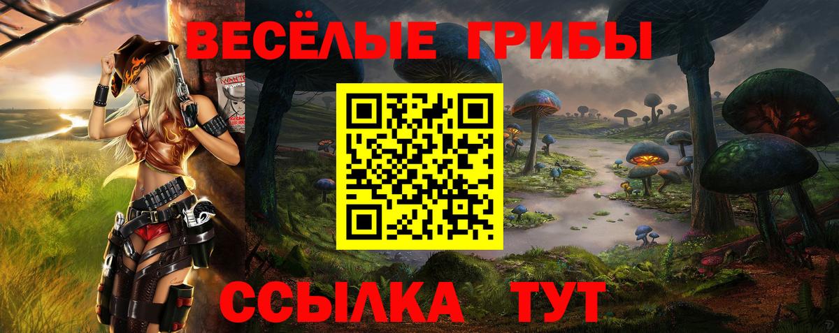 Галлюциногенные грибы Psilocybe  Вход с VPN  Псилоцибиновые грибы MAGIC MUSHROOMS  Михайловка 