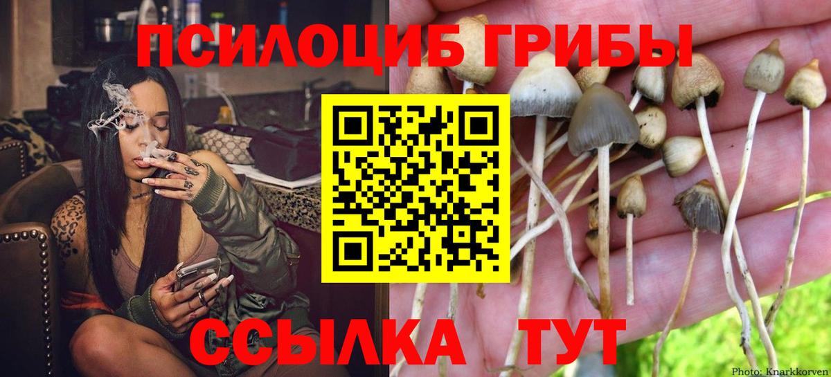 Псилоцибиновые грибы Magic Shrooms  Михайловка  Псилоцибиновые грибы GOLDEN TEACHER 