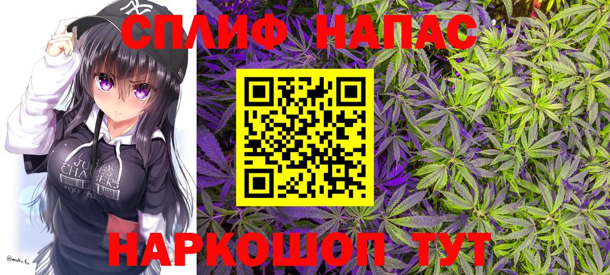 Бошки Шишки SATIVA & INDICA  Бошки Шишки семена  Конопля AK-47  МАРИХУАНА AK-47  Михайловка 